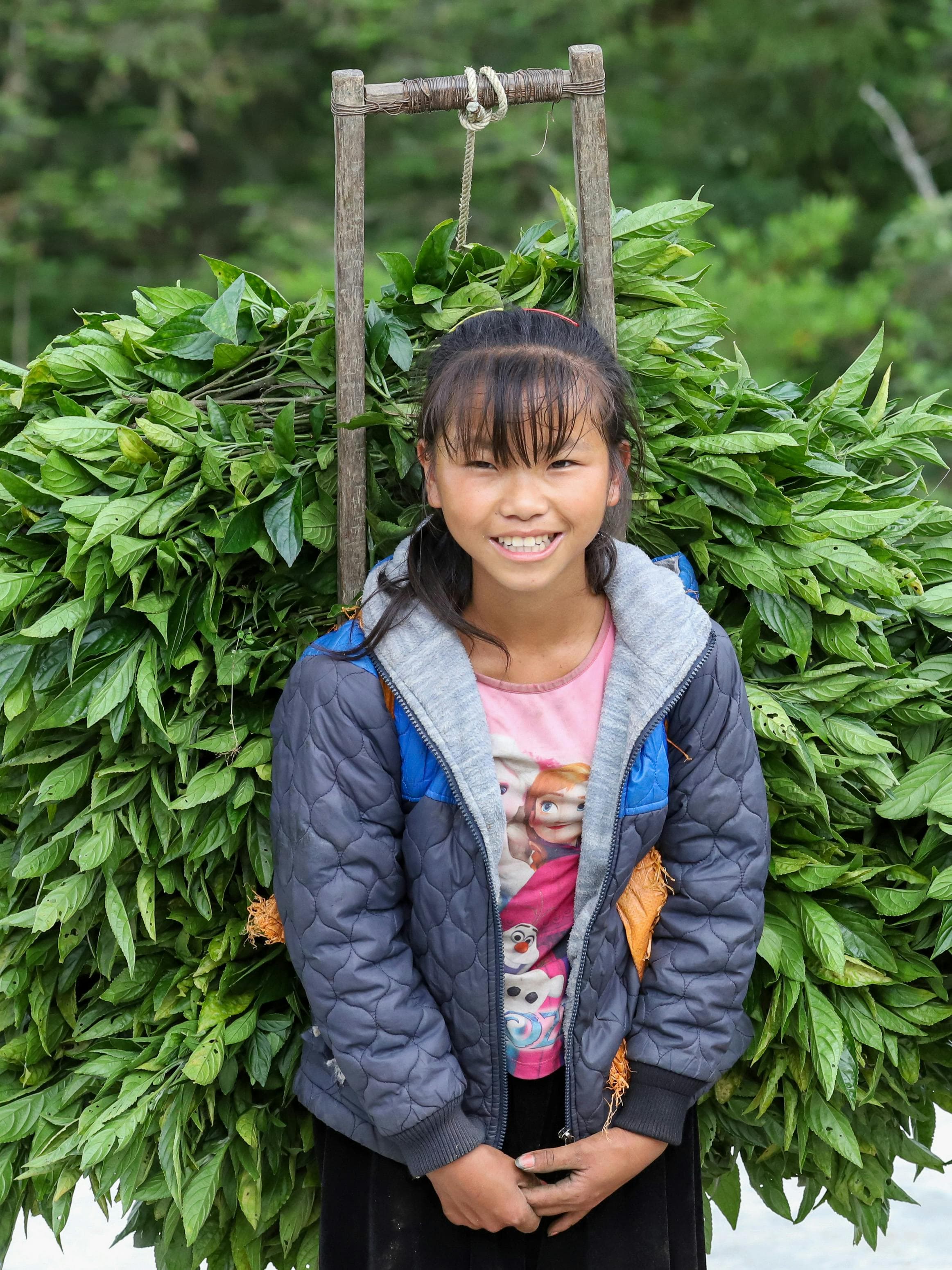 Child & Adolescent Therapy